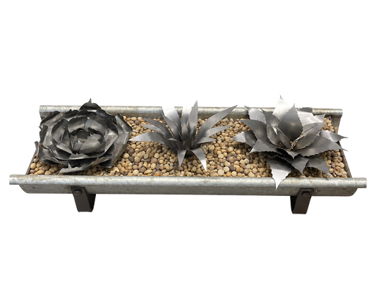 Succulent Bundle Kit