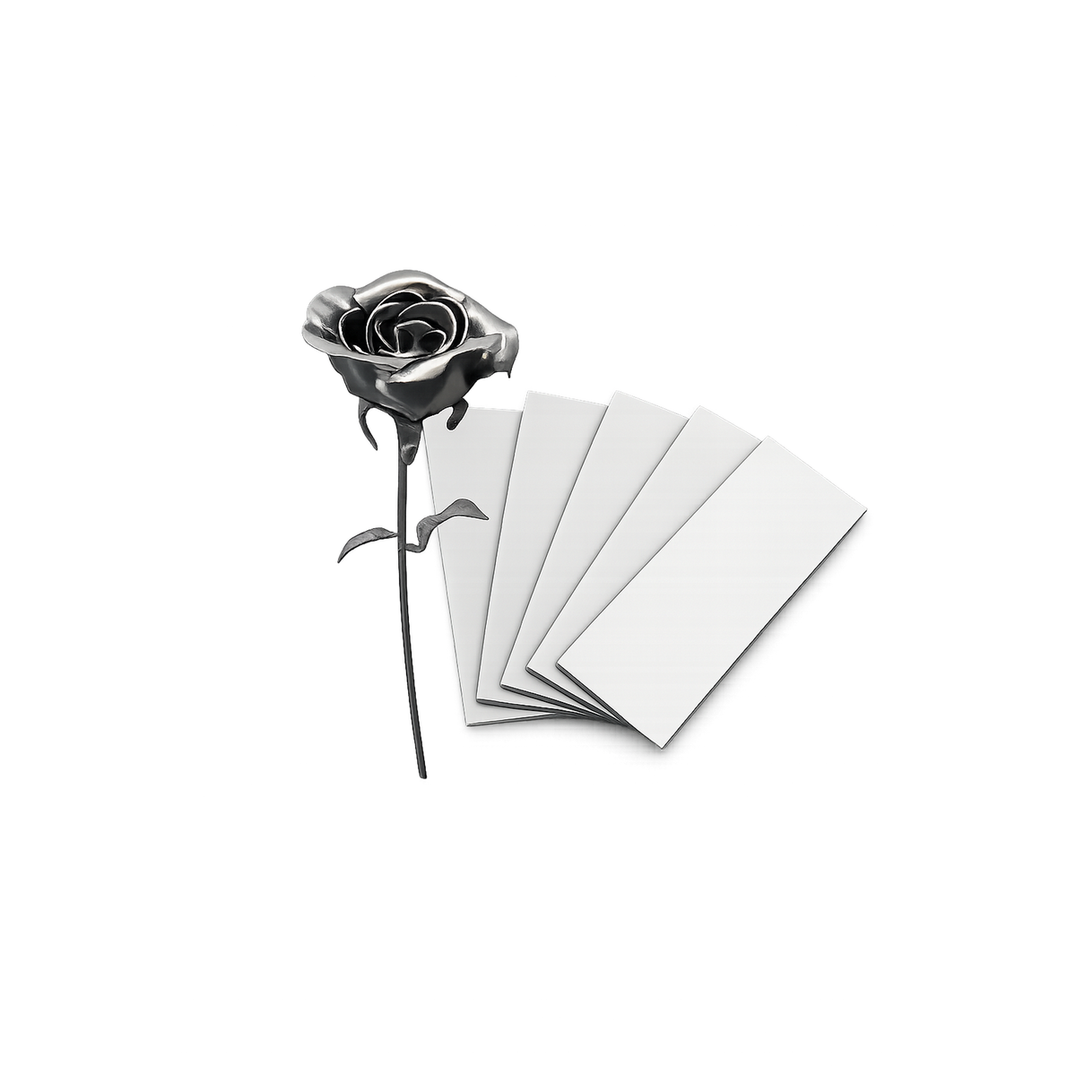 Starter Bundle