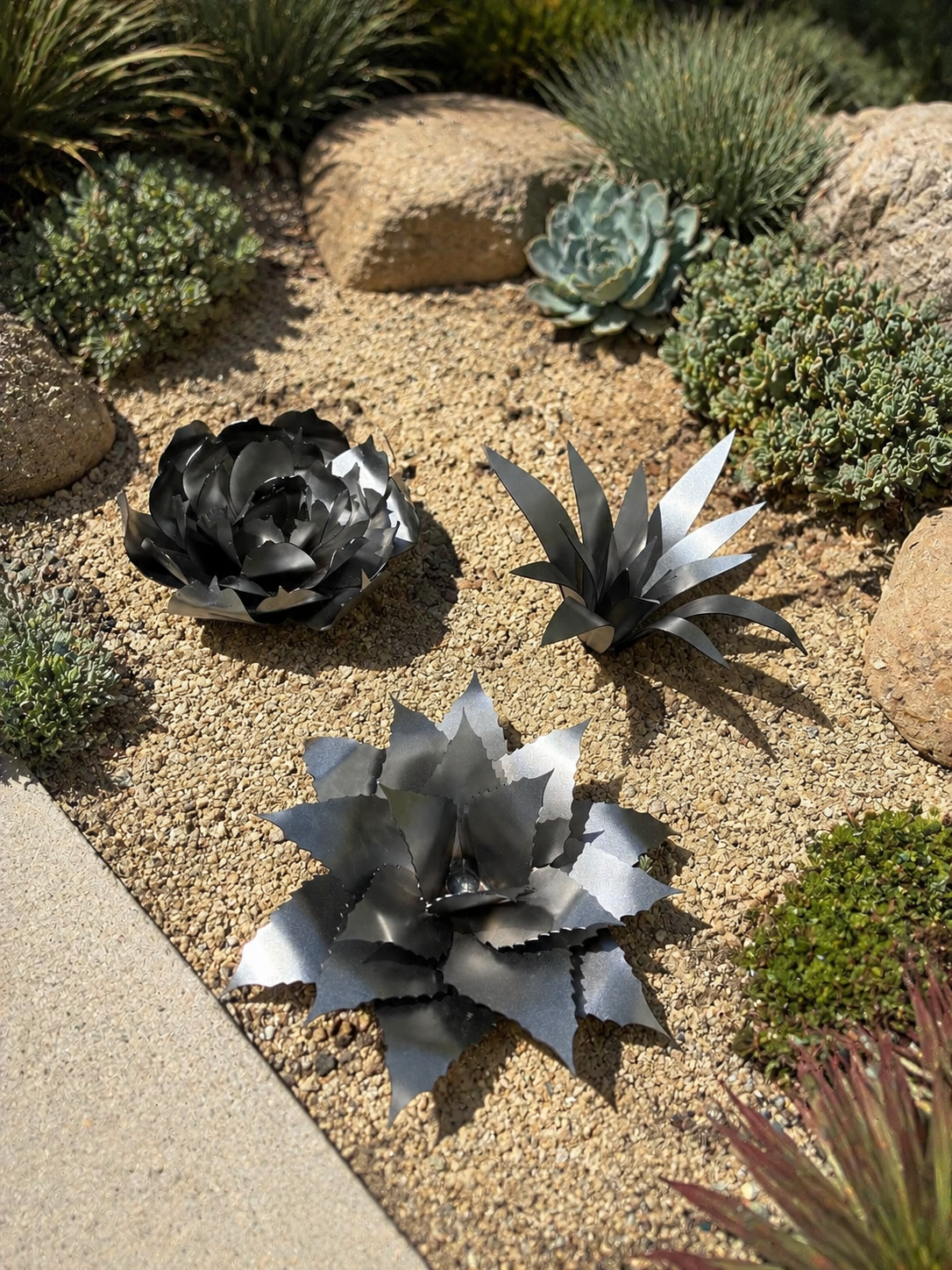Succulent Bundle Kit