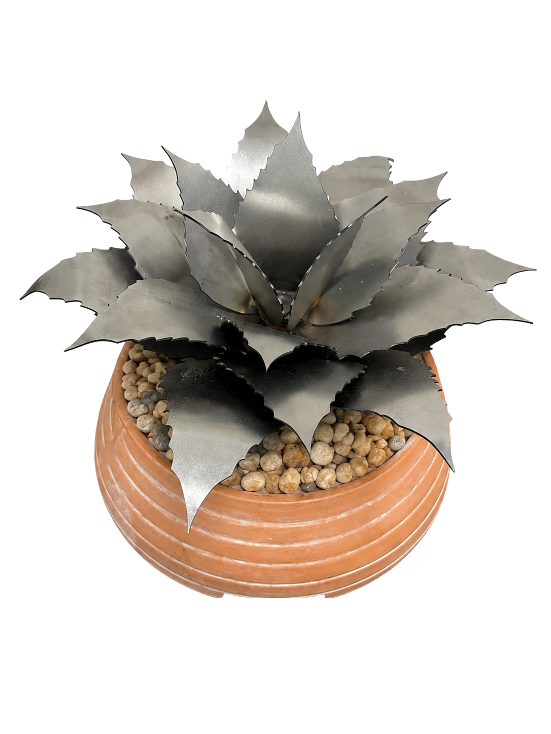 Succulent Bundle Kit