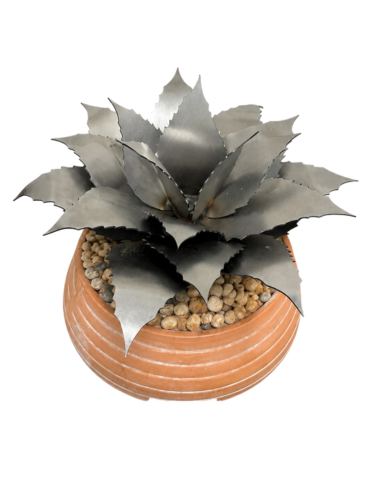 Agave Succulent Kit