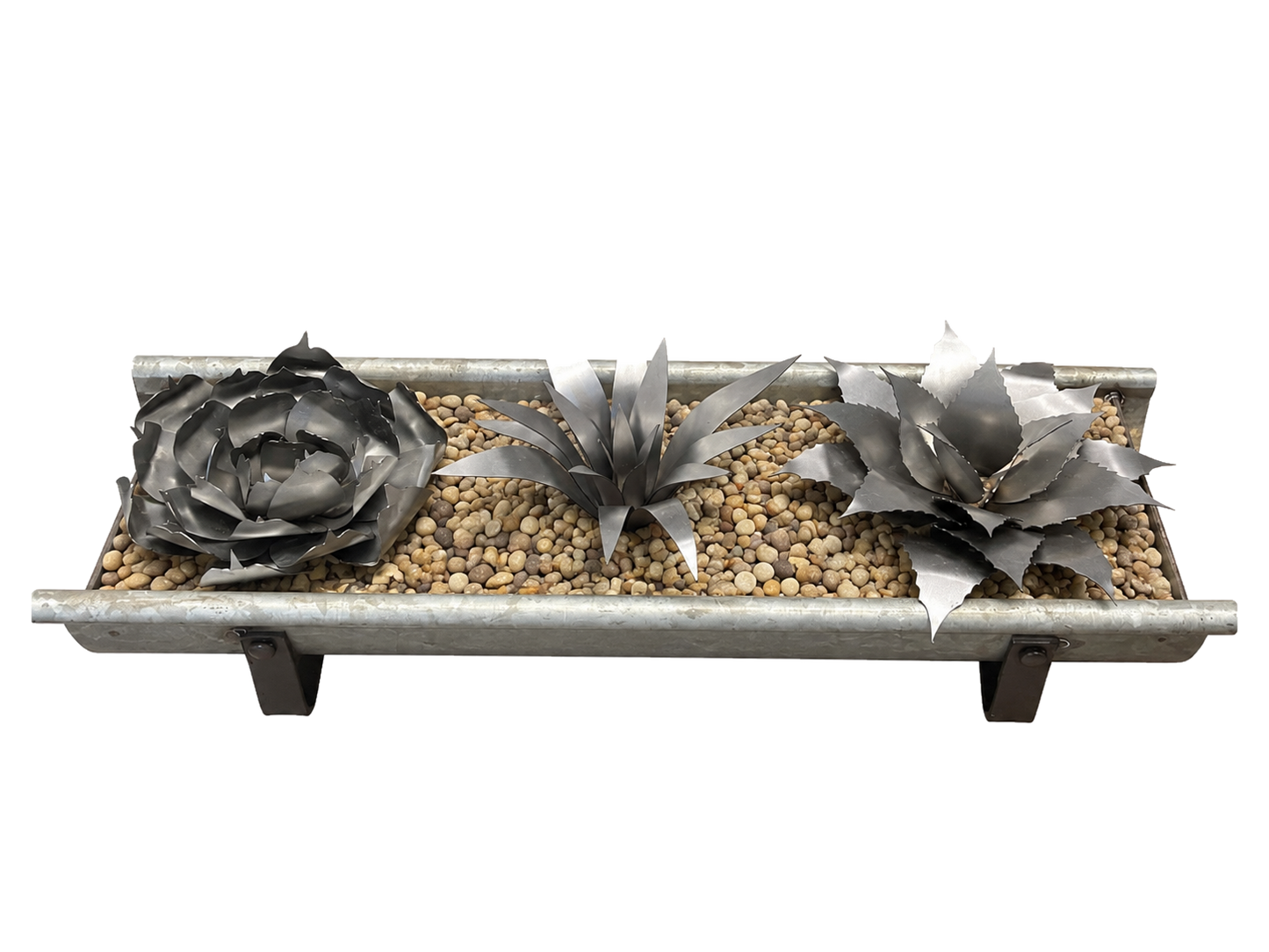 Succulent Bundle Kit