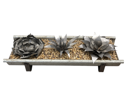 Succulent Bundle Kit