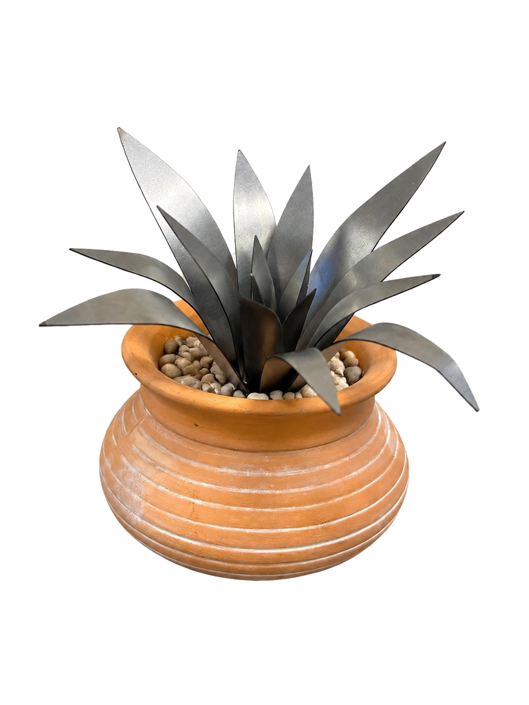 Succulent Bundle Kit