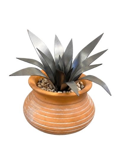 Succulent Bundle Kit