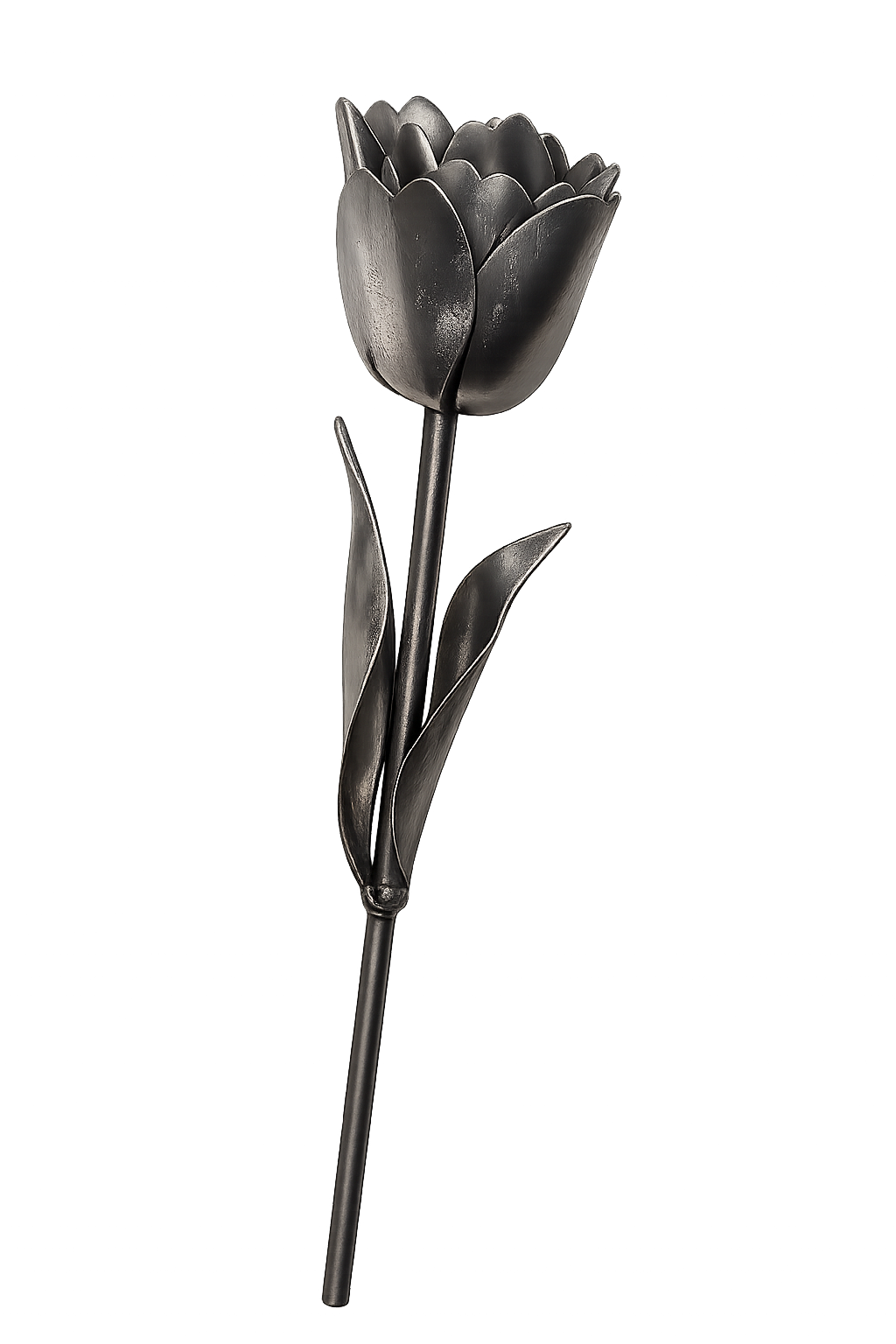 Tulip Kit