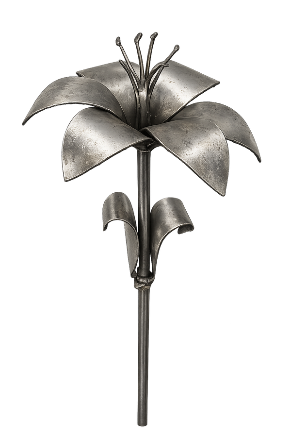 Lily Kit