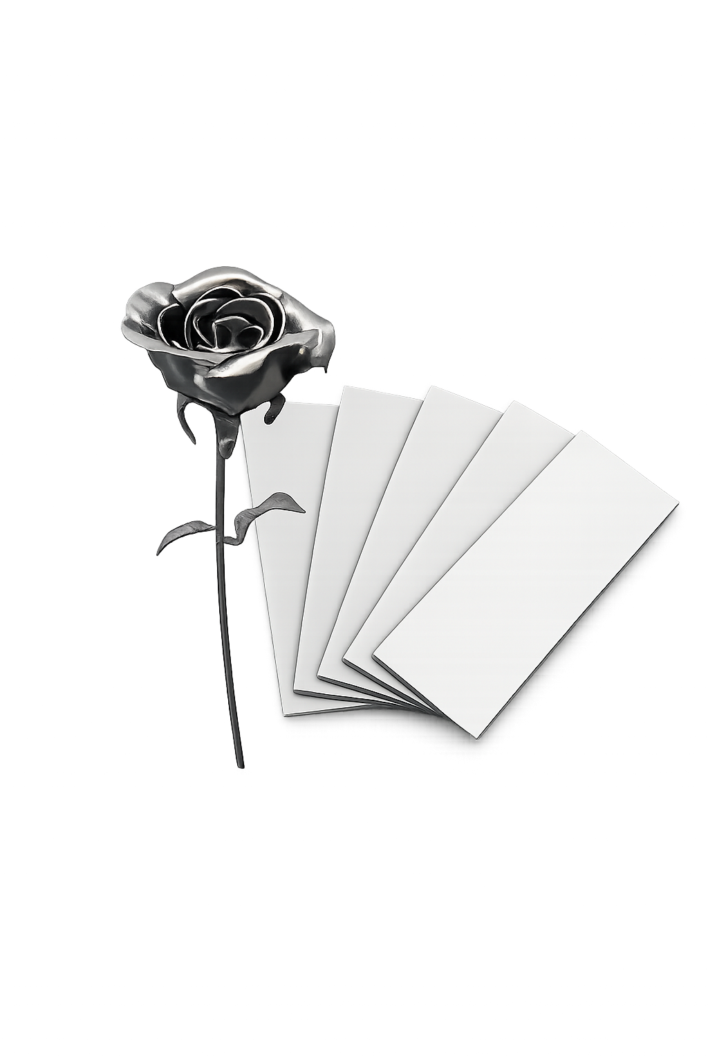 Starter Bundle