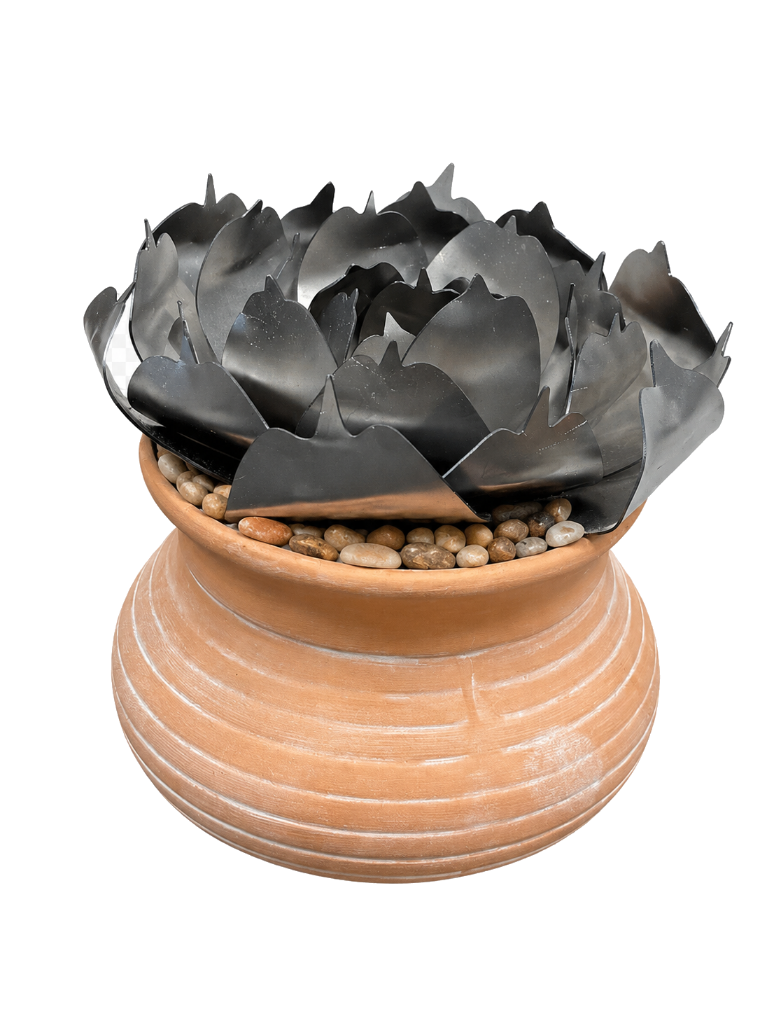 Succulent Bundle Kit
