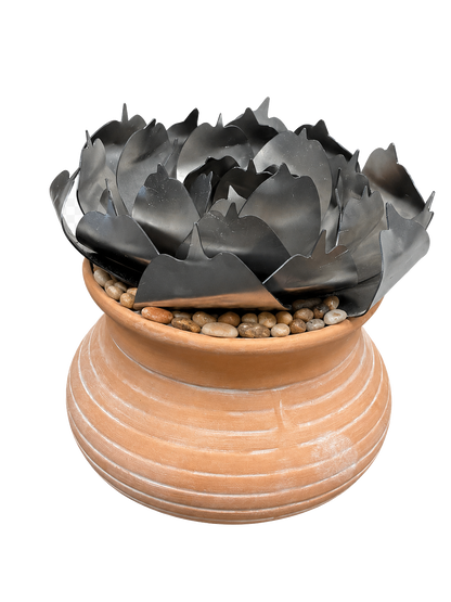Succulent Bundle Kit