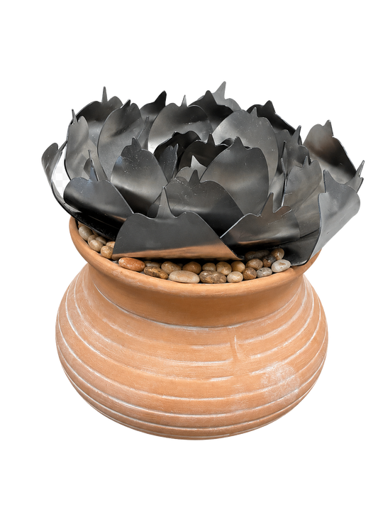 Rose Succulent Kit