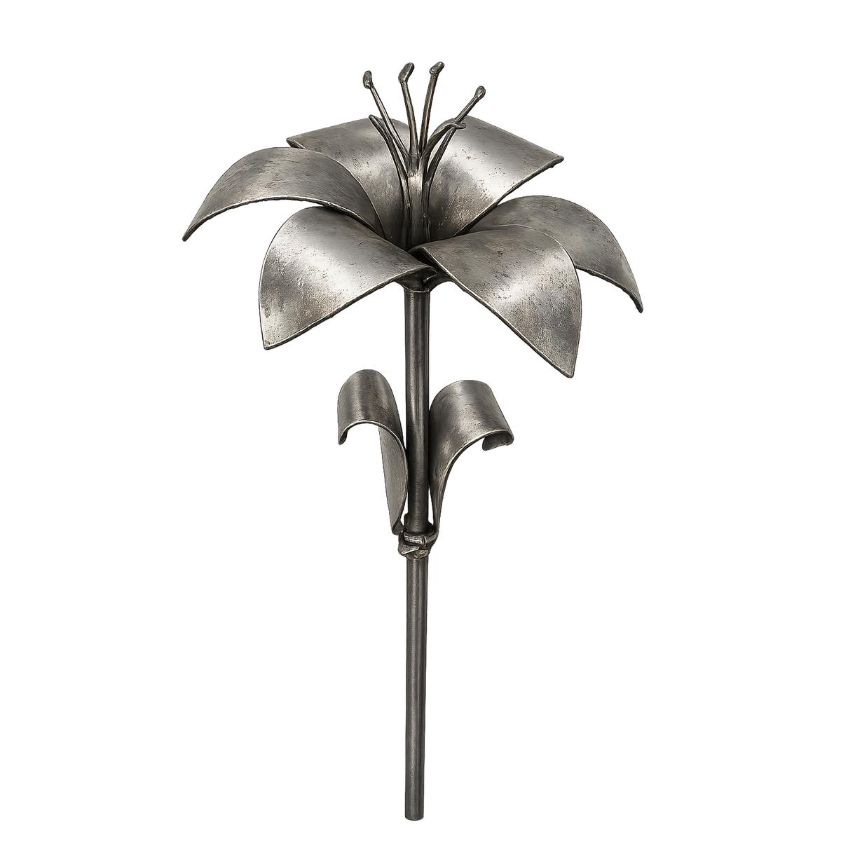 Lily Kit