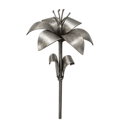 Lily Kit