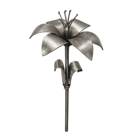 Lily Kit