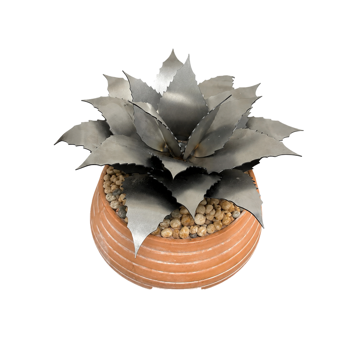 Agave Succulent Kit