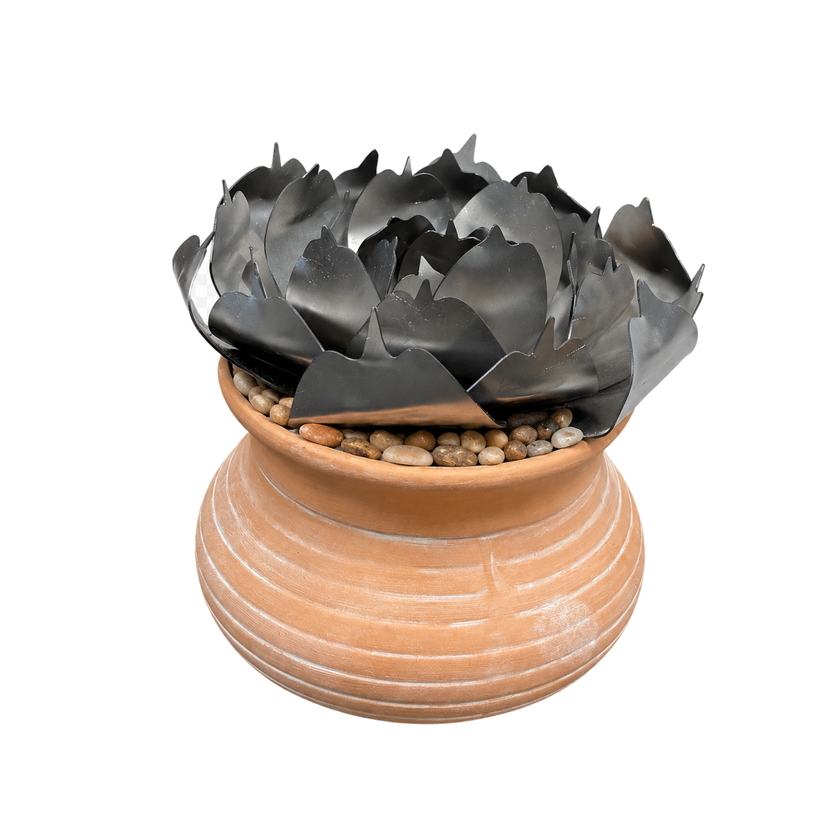 Rose Succulent Kit