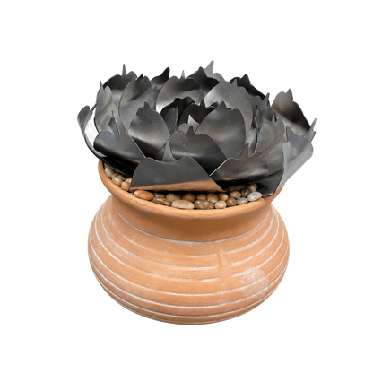 Rose Succulent Kit