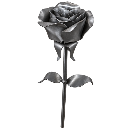 Roses Kit