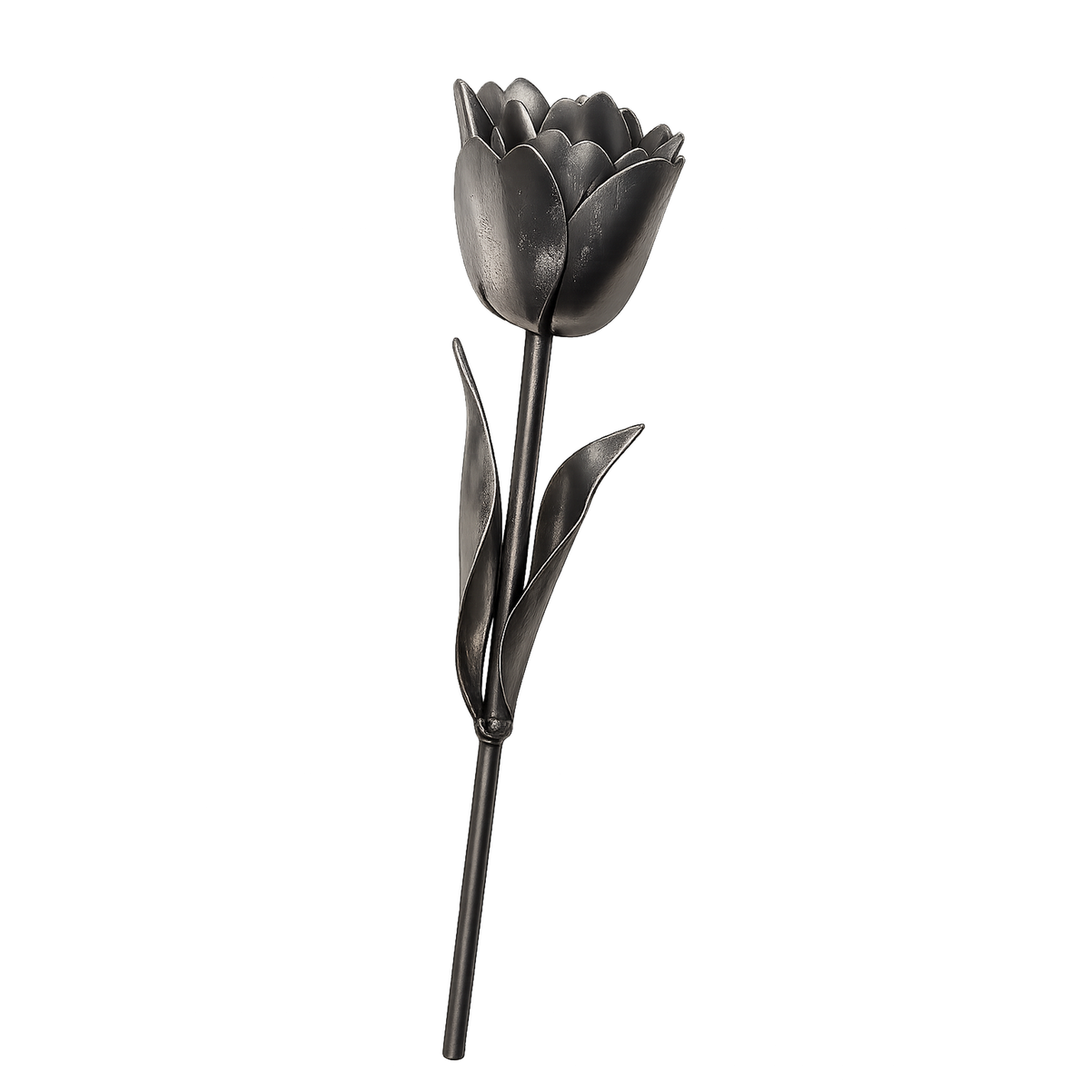 Tulip Kit