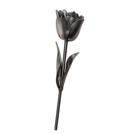 Tulip Kit